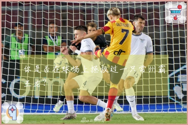你是否在球场上拯救过一只常州霸王龙？