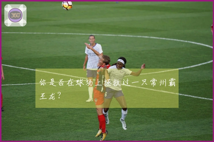 你是否在球场上拯救过一只常州霸王龙？