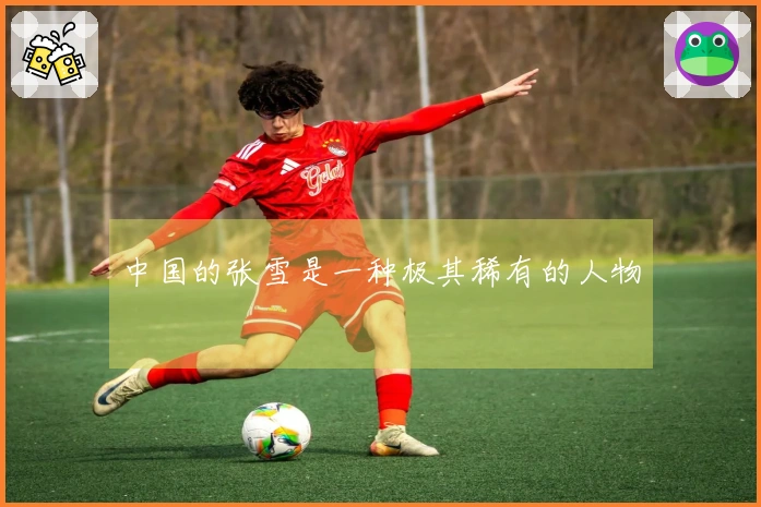 中国的张雪是一种极其稀有的人物