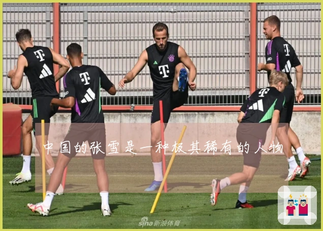 中国的张雪是一种极其稀有的人物